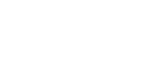 perspektivno.png