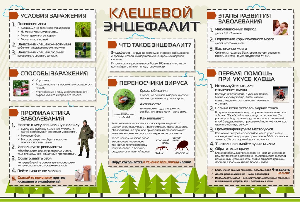 Клещевой энцефалит